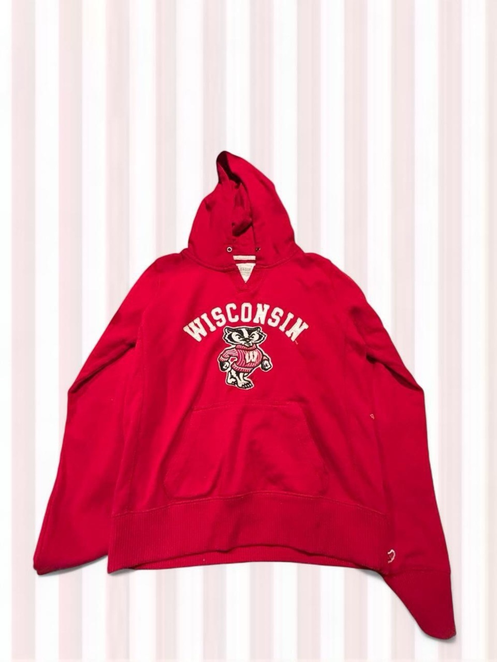 Wisconsin Red Hooded Sweatshirt with Mascot
